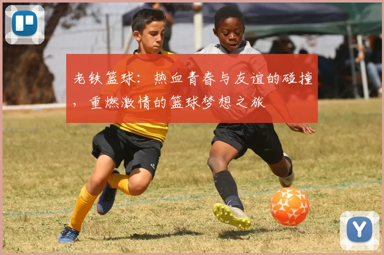 老铁篮球：热血青春与友谊的碰撞，重燃激情的篮球梦想之旅