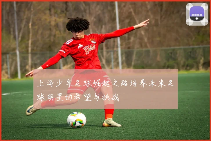 上海少年足球崛起之路培养未来足球明星的希望与挑战