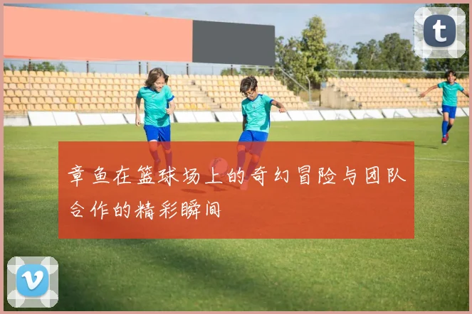 章鱼在篮球场上的奇幻冒险与团队合作的精彩瞬间