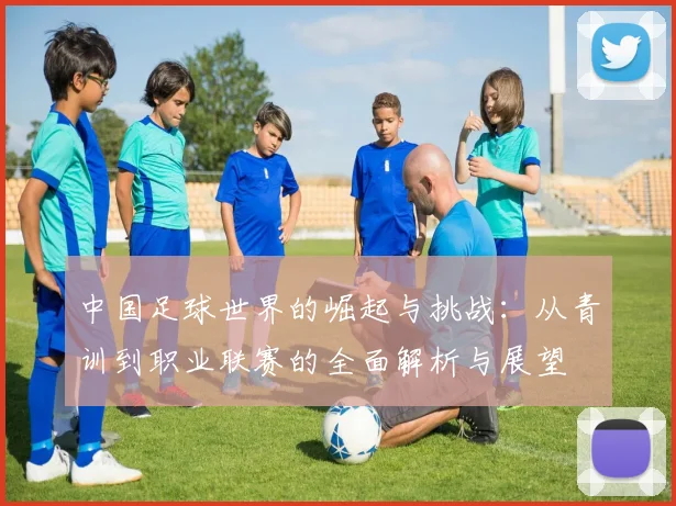 中国足球世界的崛起与挑战：从青训到职业联赛的全面解析与展望