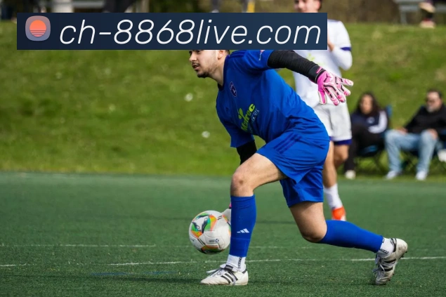 8868体育发展历程